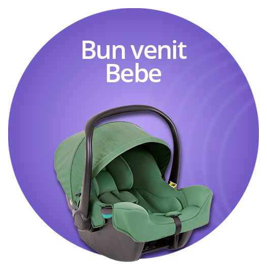 Bun Venit Bebe